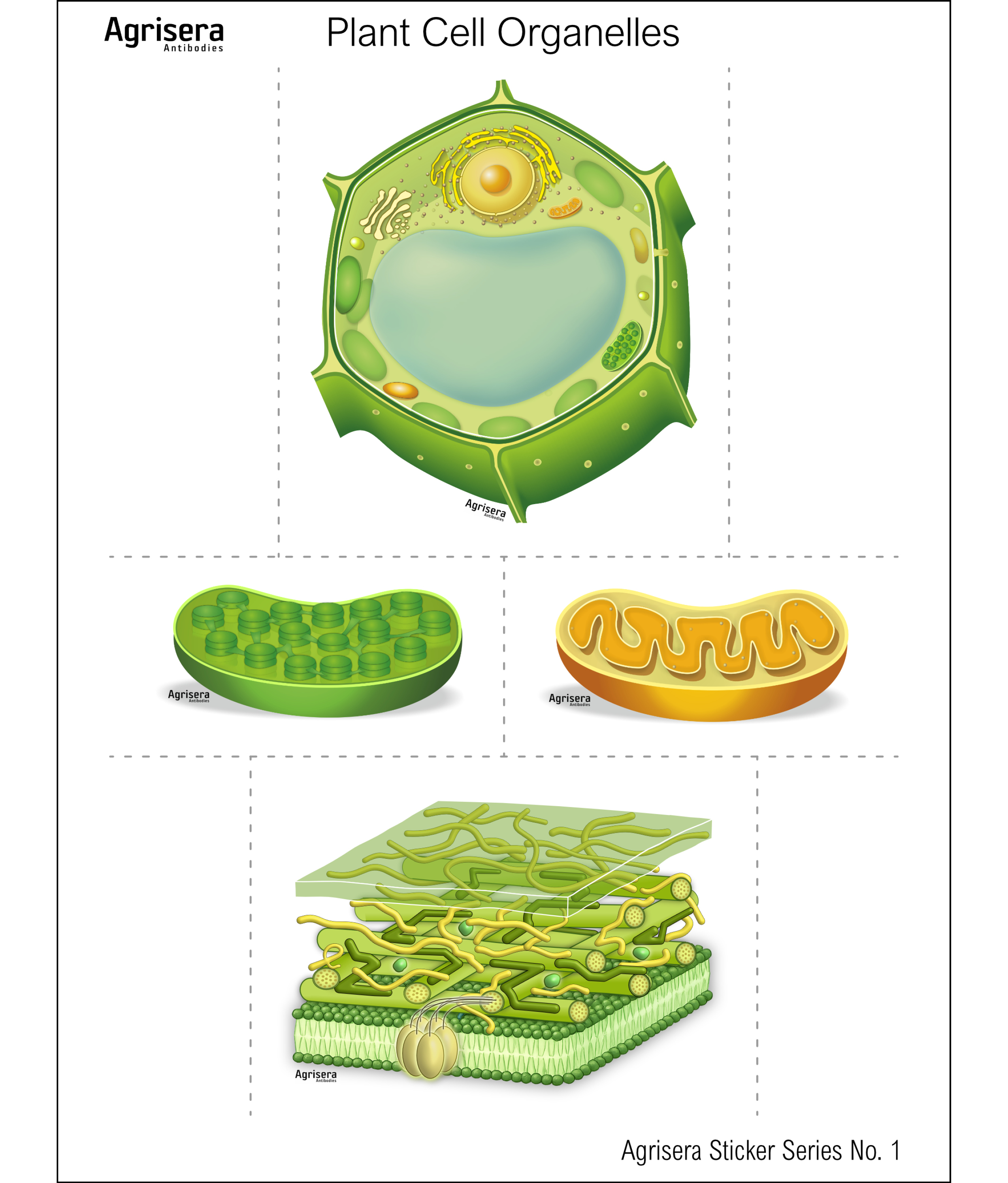 Agrisera Stickers sheet 1