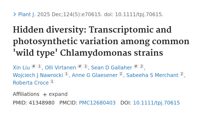 Strain-to-strain variation