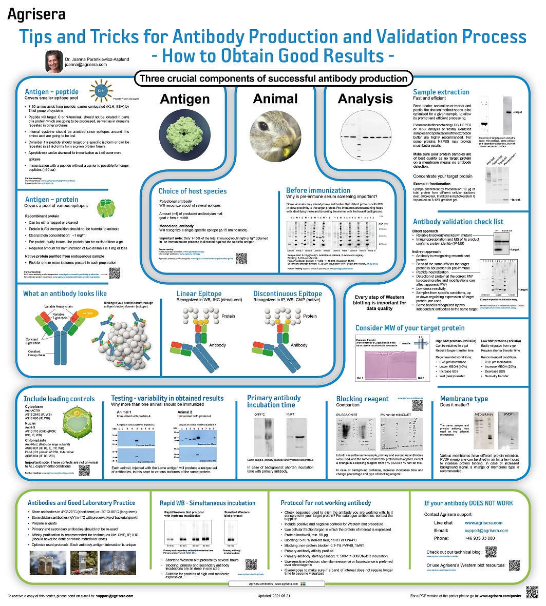 Agrisera antibody production and validation poster