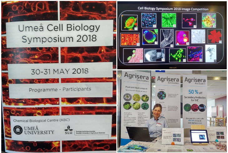Agrisera on Umeå Cell Biology Symposium