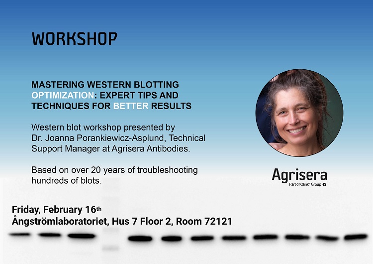 Agrisera Western Blot Workshop at Uppsala University