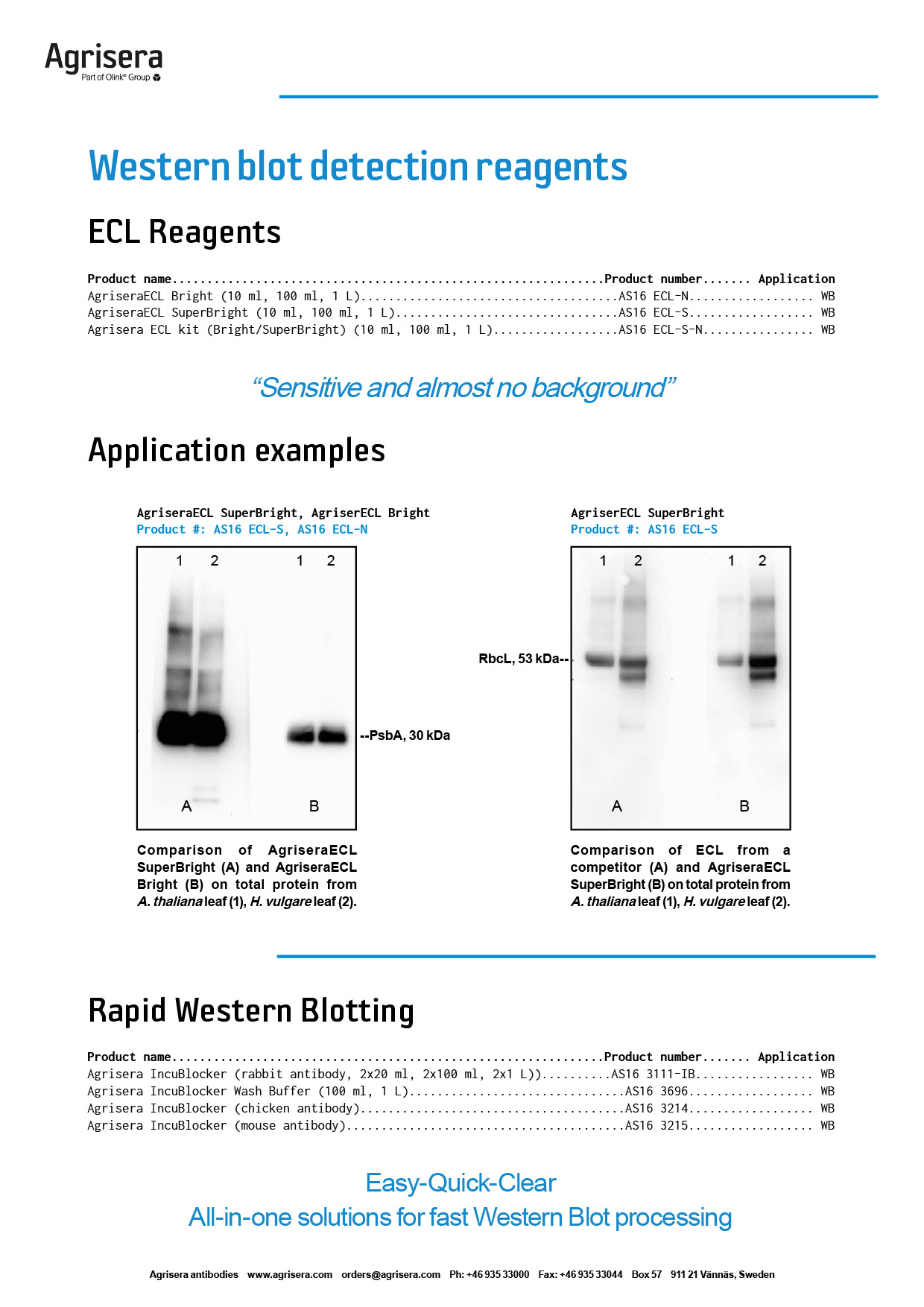 Agrisera ECL detection reagents