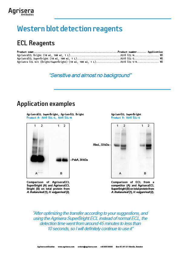 Agrisera ECL detection reagents