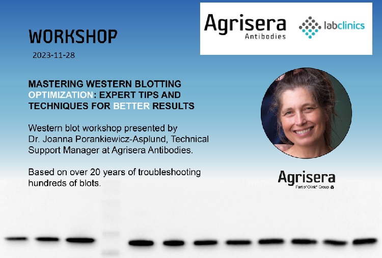 Agrisera Western blot workshop with Labclinics