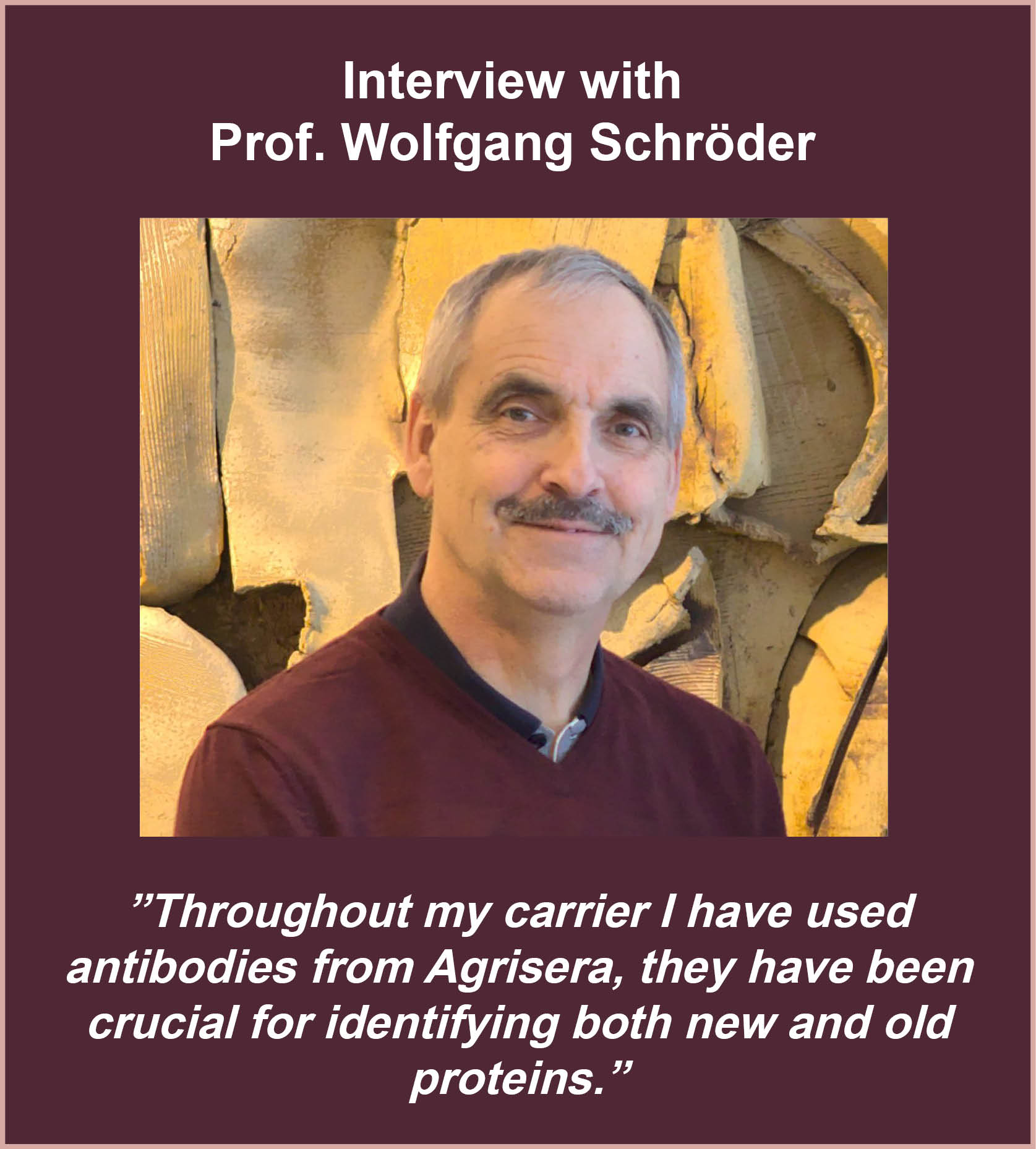 Prof. Wolfgang Schröder