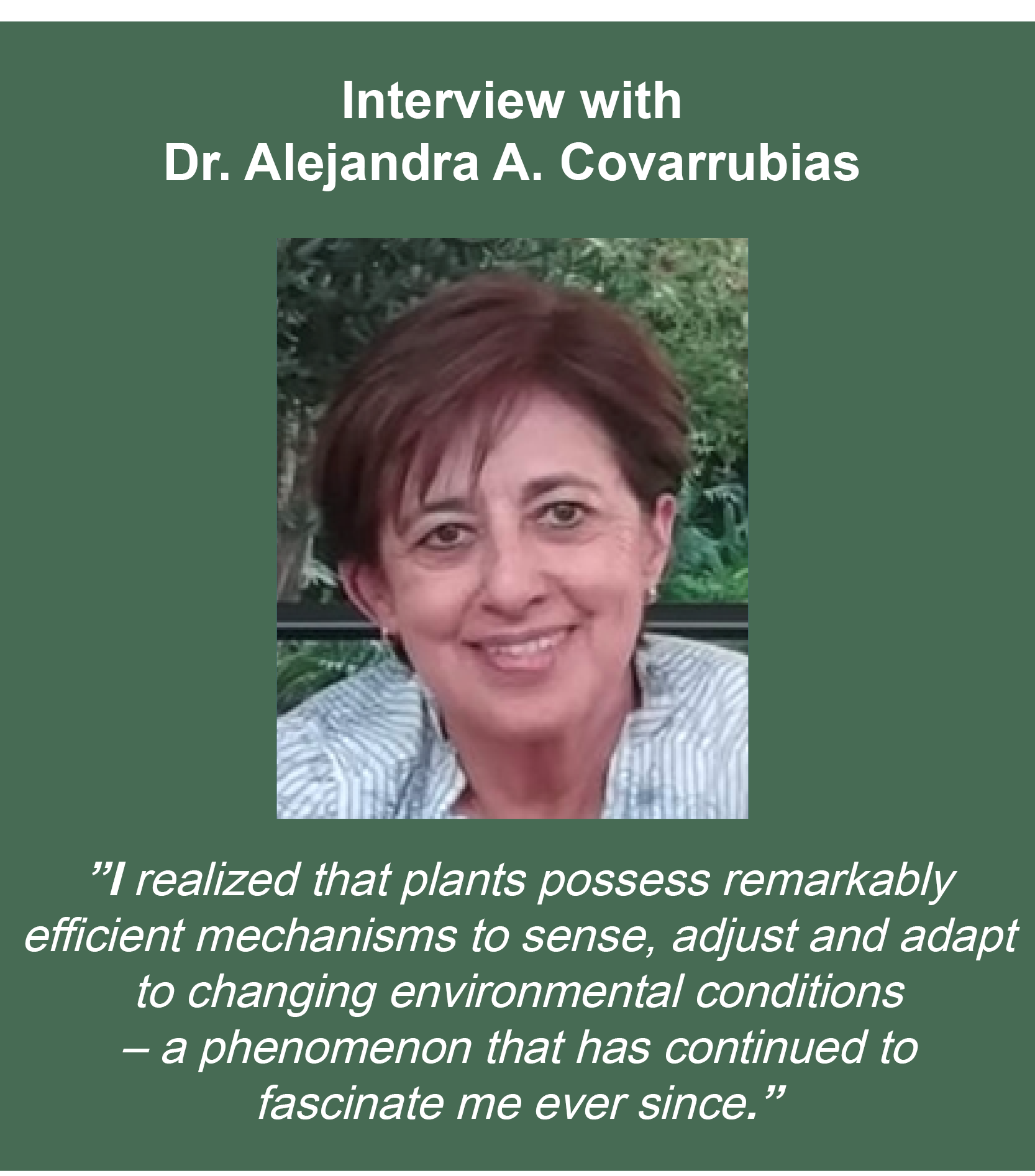 Prof. Alejandra A. Covarrubias 