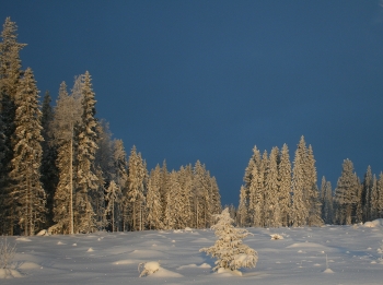 Umeå in March